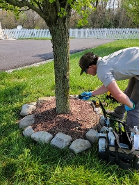 Tree Injection