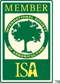 ISA Member